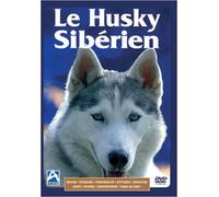 Le Husky Siberien