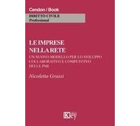 Le Imprese Nella Rete. Un Nuovo Modello Per Lo Sviluppo Collaborativo E Competitivo Delle Pmi