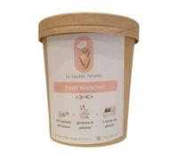 Le jardin Aromatique Infusettes Noël alsacien en pot x12
