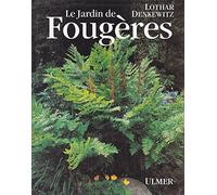 Le jardin de fougères