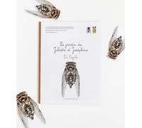 Le jardin de Juliette et Joséphine : La Cigale