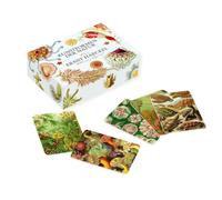 Le Jeu de mémo Ernst-Haeckel : Formes d'art de la Nature (avec livret)