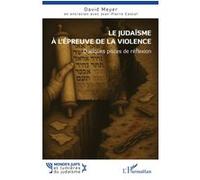 Le judaïsme à l'épreuve de la violence David Meyer (Auteur), Jean-Pierre Castel (Contributions)