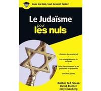 Le judaïsme Poche Pour les Nuls Ted Falcon (Auteur), David BLATNER (Auteur), Josy Eisenberg (Auteur), Marc Rozenbaum (Traduction)
