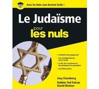 Le judaïsme Pour les nuls Ted Falcon (Auteur), David BLATNER (Auteur), Josy Eisenberg (Auteur)