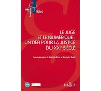 Le Juge Et Le Numérique : Un Défi Pour La Justice Du Xxie Siècle