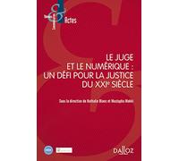 Le Juge Et Le Numérique : Un Défi Pour La Justice Du Xxie Siècle