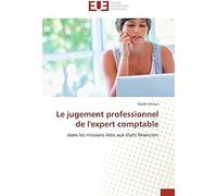 Le Jugement Professionnel De L'expert Comptable (Omn.Univ.Europ.)