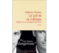 Le Juif et la Métisse Histoire d'un bourgeois de paris - Fabrice Pliskin - Flammarion - broché - Roman