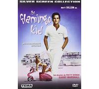 Le Kid de la plage (The Flamingo Kid, Importé d'Espagne, langues sur les détails)