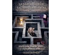 Le labyrinthe de la transcendance: Addictions, soin et après : Traverser le réel