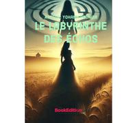 Le Labyrinthe Des Echos