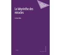 Le labyrinthe des miracles - Le Sans-Nom - Mon Petit Editeur - broché - Roman