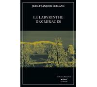 Le Labyrinthe Des Mirages - Une Enquête De Jean Royer, Sergent-Détective Au Service De Police De La Ville De Montréal