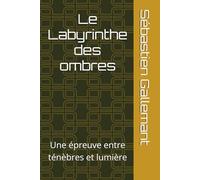 Le Labyrinthe des ombres: Une épreuve entre ténèbres et lumière