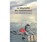 Le labyrinthe des transmissions - Corps, mémoire de notre passé