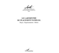 Le labyrinthe du placement familial Places, représentations, idéaux - Collectif - L'harmattan - broché - Etude