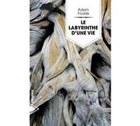 Le Labyrinthe d'une vie Adam Foulds (Auteur), Antoine Cazé (Traduction)