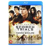 Le Labyrinthe : La Terre Brûlée [Blu-Ray]
