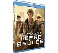 Le Labyrinthe La terre brûlée Blu-ray