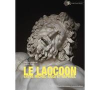 Le Laocoon entre Michel-Ange et Raphaël Maurice Brock (Auteur)