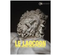 Le Laocoon Entre Michel-Ange Et Raphaël - Un Ressort De L'émulation