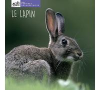 Le lapin