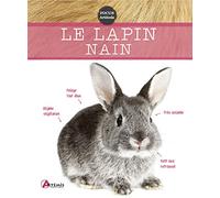 Le lapin nain