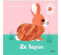 Le lapin Raphaëlle Michaud (Illustration)