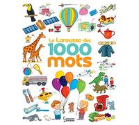 Le Larousse des 1 000 mots NE