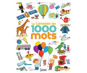 Le Larousse des 1 000 mots NE - Caroline Modeste - Larousse - cartonné - Document jeunesse