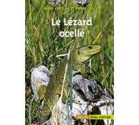 Le Lézard ocellé Marc Cheylan (Auteur), Pierre Grillet (Auteur), François Dorigny (Direction)