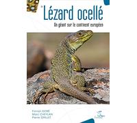 Le lézard ocellé: Un géant sur le continent européen