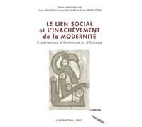 Le Lien Social Et L'inachèvement De La Modernité - Expériences D'amérique Et D'europe