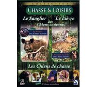 Le lievre Le Sanglier Chiens de Chasse