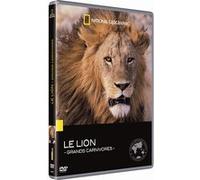Le Lion : Les grands carnivores E