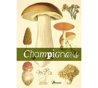 Le livre des champignons - Collectif - Artemis Eds - relié - Guide