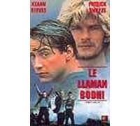 Le Llaman Bodhi