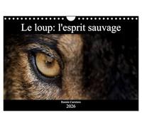 Le loup: l'esprit sauvage (Calendrier mural 2026 DIN A4 vertical), CALVENDO calendrier mensuel: Des images incroyables de loups