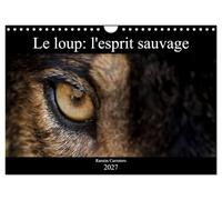 Le loup: l'esprit sauvage (Calendrier mural 2027 DIN A4 vertical), CALVENDO calendrier mensuel: Des images incroyables de loups