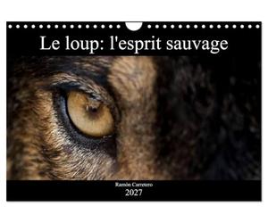 Le loup: l'esprit sauvage (Calendrier mural 2027 DIN A4 vertical), CALVENDO calendrier mensuel: Des images incroyables de loups