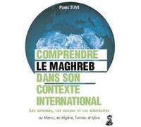 Le Maghreb dans son contexte international : comprendre les affaires, les usages et les mentalités au Maroc, en Algérie, en Tunisie et en Libye Pierre Tuvi (Auteur)