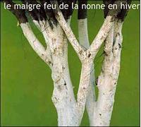 Compilation - Le Maigre Feu de la Nonne en H [Import]