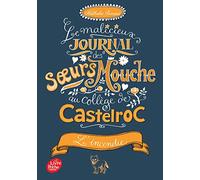 Le malicieux journal des soeurs Mouche au collège de Castelroc - Tome 4: L'incendie
