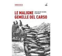 Le Maligne Gemelle Del Carso. Quote 208 Sud E 208 Nord, Le Battaglie