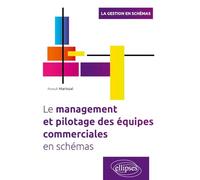 Le management et le pilotage des équipes commerciales en schémas