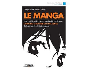 Le manga : Une synthèse de référence qui éclaire en image l'origine, l'histoire et l'influence de la bande dessinée japonaise