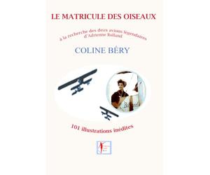 LE MATRICULE DES OISEAUX: Adrienne Bolland, à la recherche de ses avions légendaires