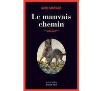 Le Mauvais chemin Mikel Santiago (Auteur), Aline Valesco (Traduction)