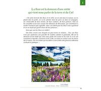 Le message de la fleur - les sentiers de la métamorphose